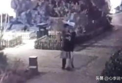 吃瓜--今日大赛完整版 吃瓜视频大全完整版观看,今日大赛完整版及吃瓜视频大全深度解析