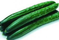 必吃大瓜,那些你不知道的幕后故事